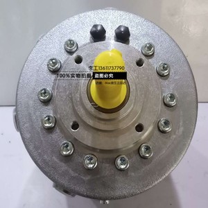 독일 HAWE 하웨이 레이디얼 플런저 펌프 R9.8-9.8-9.8A 베인 펌프 유압 오일 펌프 밸브